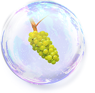 クロノシャルディ※3