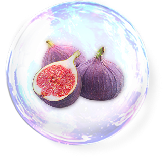 イチジク果実エキス※3